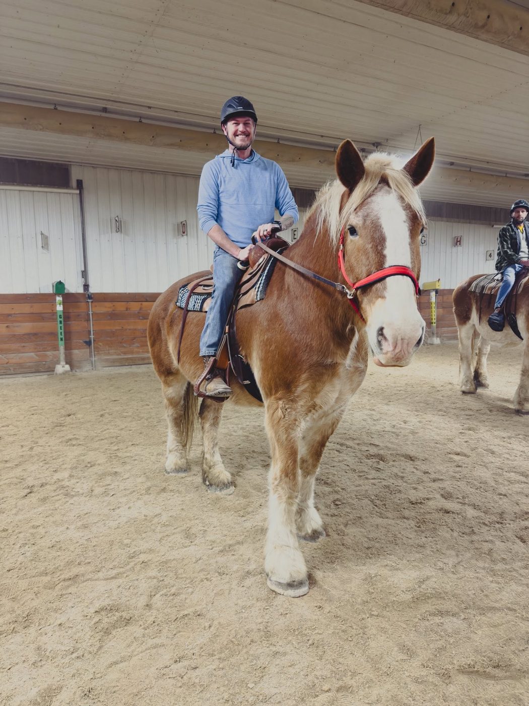 Shawn on a draft horse