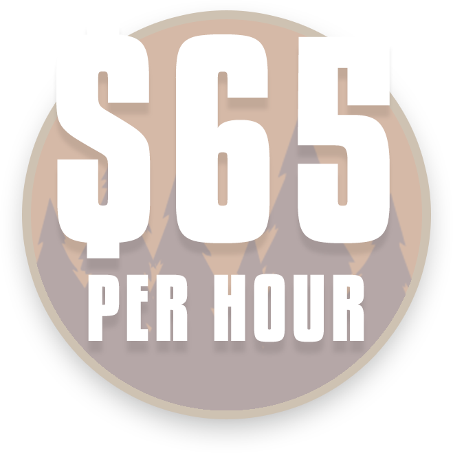 Hourly Rate 65